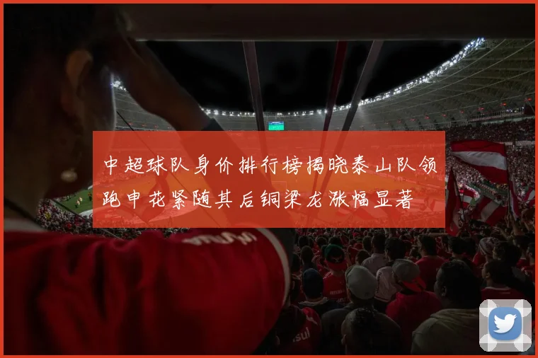 中超球队身价排行榜揭晓泰山队领跑申花紧随其后铜梁龙涨幅显著