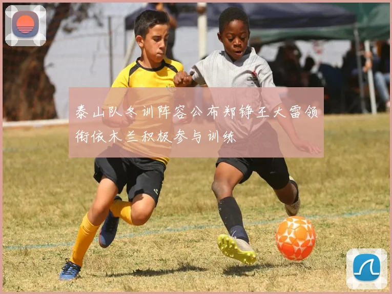泰山队冬训阵容公布郑铮王大雷领衔依木兰积极参与训练